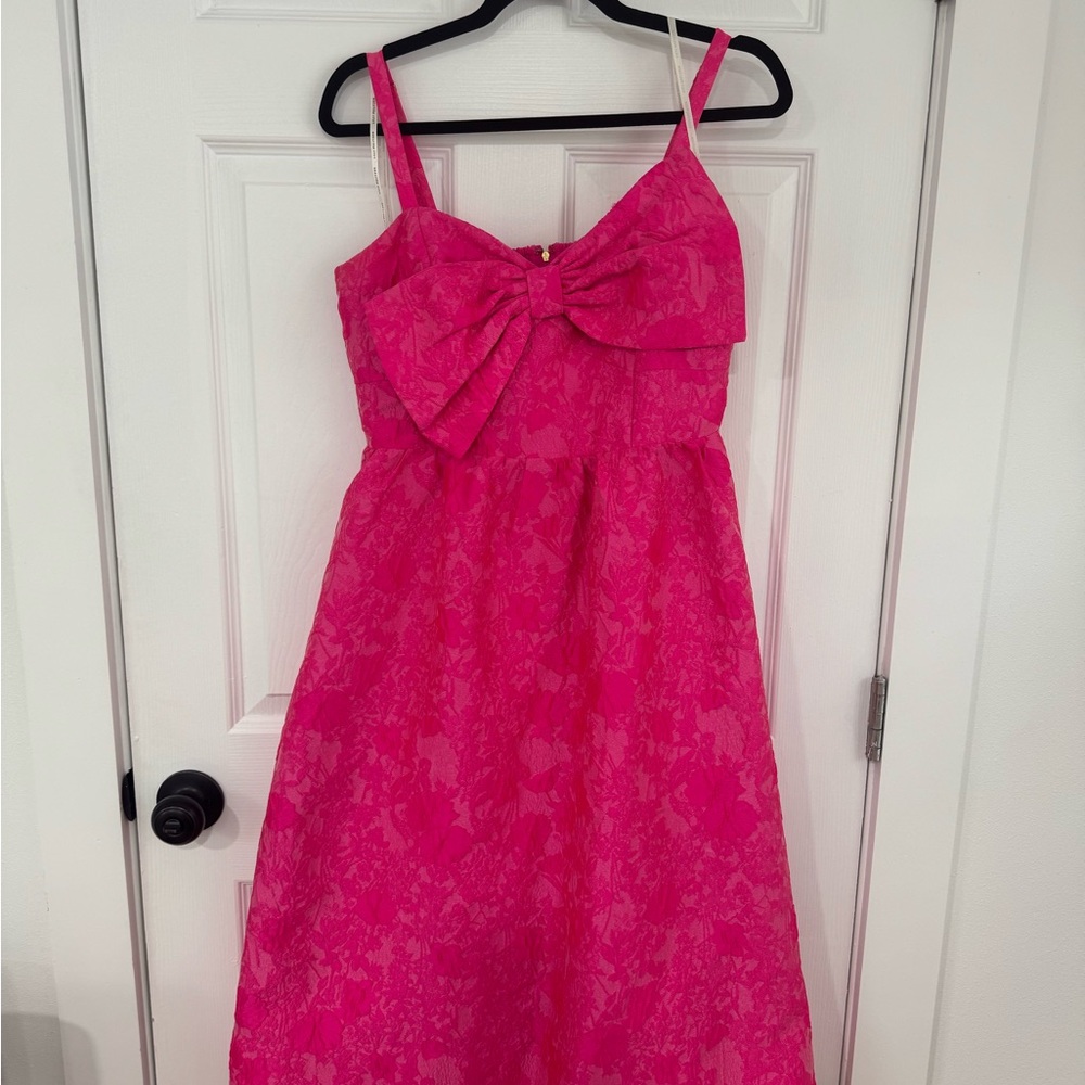 Lilly Pulitzer Bright Pink Garment